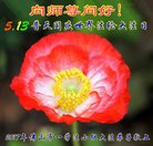 ���ֹ�,�㶫�󷨵��ӹ������編�ִ�����ʦ�𻪵�(25��)