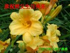 Published on 5/10/2018 ���ֹ�,��С���ӹ������編�ִ�����ʦ�𻪵�(20��)