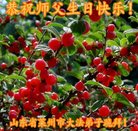 ���ֹ�,ɽ���󷨵��ӹ������編�ִ�����ʦ�𻪵�(23��)