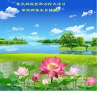 ���ֹ�,�ػʵ��󷨵��ӹ������編�ִ�����ʦ�𻪵�(22��)