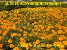 Published on 5/10/2018 ���ֹ�,����ҵ�󷨵��ӹ������編�ִ�����ʦ�𻪵�(33��)