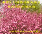 Published on 5/10/2018 ���ֹ�,����ҵ�󷨵��ӹ������編�ִ�����ʦ�𻪵�(33��)
