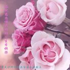 ���ֹ�,����󷨵��ӹ������編�ִ�����ʦ�𻪵�(25��)