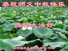 Published on 10/4/2017 ���ֹ�,��½�󷨵��ӹ�ףʦ�������(35��)