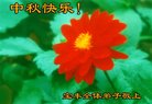 Published on 10/4/2017 ���ֹ�,��½�󷨵��ӹ�ףʦ�������(43��)