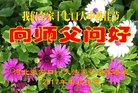 ���ֹ�,�żҿڴ󷨵��ӹ�ףʦ�������(21��)