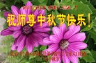 ���ֹ�,�żҿڴ󷨵��ӹ�ףʦ�������(21��)
