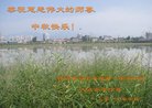 Published on 10/4/2017 ���ֹ�,��½�󷨵��ӹ�ףʦ�������(29��)