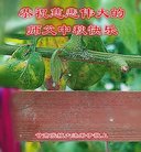 ���ֹ�,����󷨵��ӹ�ףʦ�������(18��)