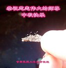 ���ֹ�,����󷨵��ӹ�ףʦ�������(18��)