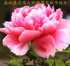 ���ֹ�,�ൺ�󷨵��ӹ�ףʦ�������(24��)