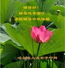 ���ֹ�,�������󷨵��ӹ�ףʦ�������(18��)