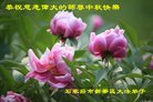 ���ֹ�,ʯ��ׯ�󷨵��ӹ�ףʦ�������(22��)