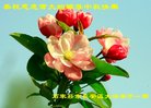 ���ֹ�,ʯ��ׯ�󷨵��ӹ�ףʦ�������(22��)