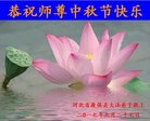 ���ֹ�,�żҿڴ󷨵��ӹ�ףʦ�������(19��)