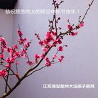 ���ֹ�,���մ󷨵��ӹ�ףʦ�������(24��)