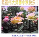 ���ֹ�,�����󷨵��ӹ�ףʦ�������(22��)