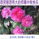 ���ֹ�,�����󷨵��ӹ�ףʦ�������(22��)