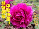 ���ֹ�,ʯ��ׯ�󷨵��ӹ�ףʦ�������(23��)