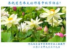 ���ֹ�,ʯ��ׯ�󷨵��ӹ�ףʦ�������(23��)