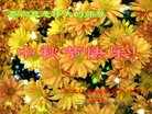 Published on 10/4/2017 ���ֹ�,��½�󷨵��ӹ�ףʦ�������(36��)
