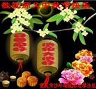 ���ֹ�,����󷨵��ӹ�ףʦ�������(26��)