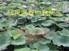 Published on 10/4/2017 ���ֹ�,��½�󷨵��ӹ�ףʦ�������(33��)