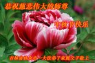 Published on 10/4/2017 ���ֹ�,��½�󷨵��ӹ�ףʦ�������(33��)