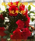 Published on 2/16/2018 ���ֹ�,��½�󷨵��ӹ�ףʦ�������(29��)