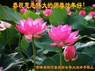 Published on 2/16/2018 ���ֹ�,���󷨵��ӹ�ףʦ�������(23��)
