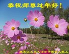 Published on 2/16/2018 ���ֹ�,��½�󷨵��ӹ�ףʦ�������(29��)