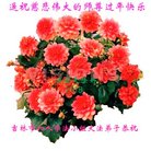 ���ֹ�,�����д󷨵��ӹ�ףʦ�������(23��)