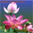 ���ֹ�,��Ϫ�󷨵��ӹ�ףʦ�������(18��)