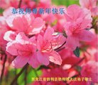 ���ֹ�,�������󷨵��ӹ�ףʦ�������(19��)