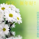 ���ֹ�,���ϴ󷨵��ӹ�ףʦ�������(22��)