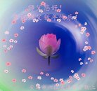 ���ֹ�,�������󷨵��ӹ�ףʦ�������(19��)