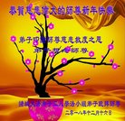 ���ֹ�,Ϋ���󷨵��ӹ�ףʦ�������(21��)