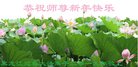 ���ֹ�,�������󷨵��ӹ�ףʦ�������(19��)