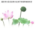 ���ֹ�,����󷨵��ӹ�ףʦ�������(20��)