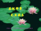 ���ֹ�,�������󷨵��ӹ�ףʦ�������(19��)