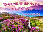 ���ֹ�,����󷨵��ӹ�ףʦ�������(20��)