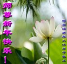 ���ֹ�,�������󷨵��ӹ�ףʦ�������(19��)