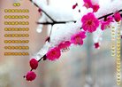 ���ֹ�,�żҿڴ󷨵��ӹ�ףʦ�������(20��)