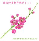 ���ֹ�,����󷨵��ӹ�ףʦ�������(20��)