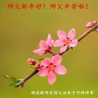 ���ֹ�,����󷨵��ӹ�ףʦ�������(20��)