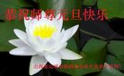 ���ֹ�,��ɽ�󷨵��ӹ�ףʦ�������(28��)