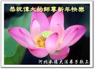 ���ֹ�,�ӱ��󷨵��ӹ�ףʦ�������(18��)