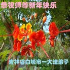 ���ֹ�,����ʡ�󷨵��ӹ�ףʦ�������(20��)