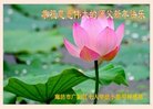 ���ֹ�,�ȷ��󷨵��ӹ�ףʦ�������(22��)