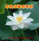 ���ֹ�,ʯ��ׯ�󷨵��ӹ�ףʦ�������(25��)